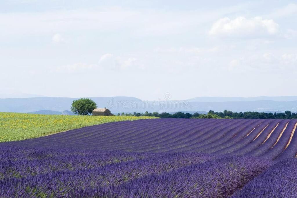 Joli Appartement Dans Village Calme En Provence Les Mees Экстерьер фото